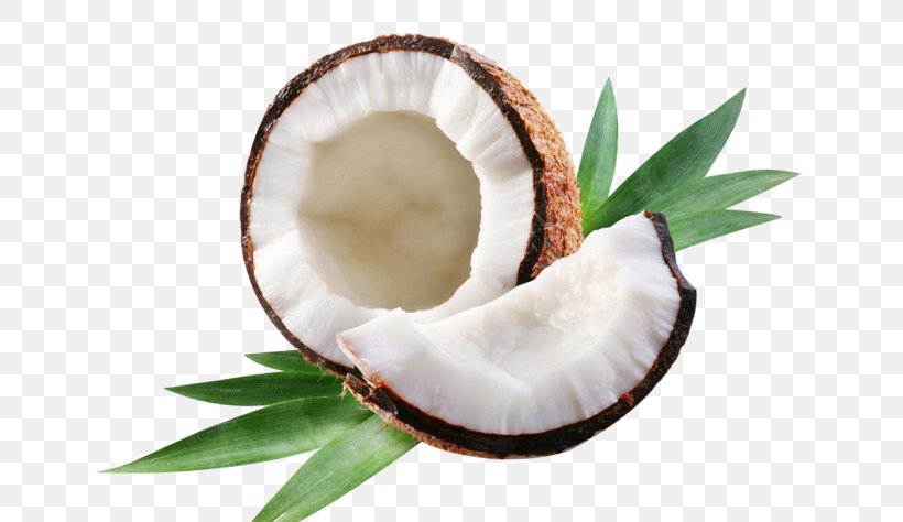 Coconut, PNG, 658x474px, Coconut, Food, Plant Download Free