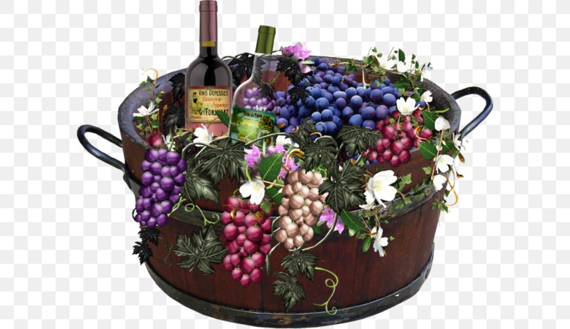 Common Grape Vine Wine Harvest Food, PNG, 600x474px, Grape, Alcoholic Drink, Barrel, Basket, Common Grape Vine Download Free