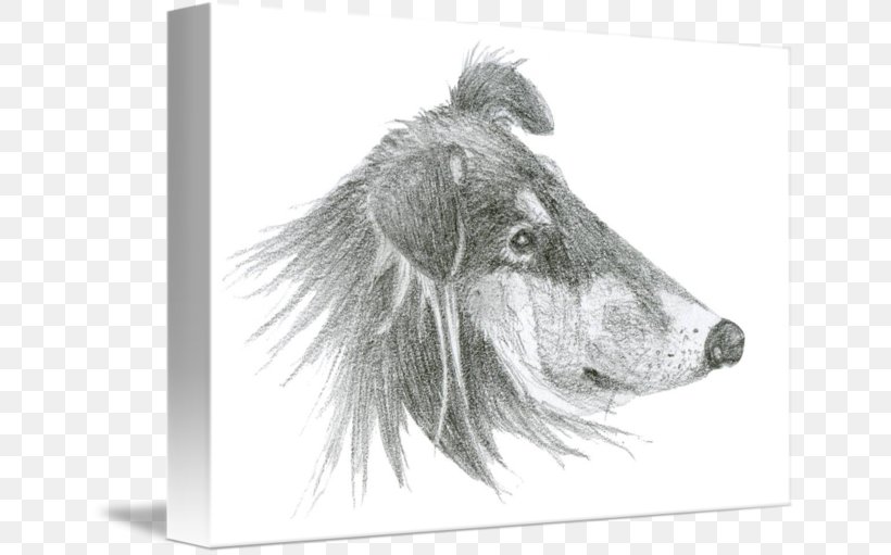 Dog Breed Snout White, PNG, 650x511px, Dog Breed, Black And White, Breed, Carnivoran, Dog Download Free