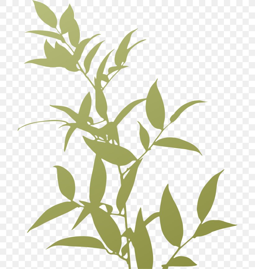 Plants Trivia Silhouette, PNG, 708x866px, Plants Trivia, Android, Branch, Button, Flora Download Free