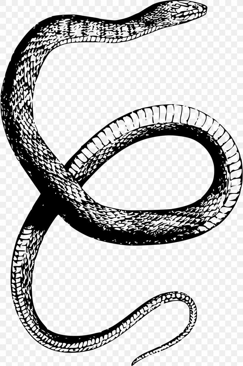 Snake Drawing Clip Art, PNG, 1596x2400px, Snake, Banded Water Snake, Black And White, Body Jewelry, Copperhead Download Free