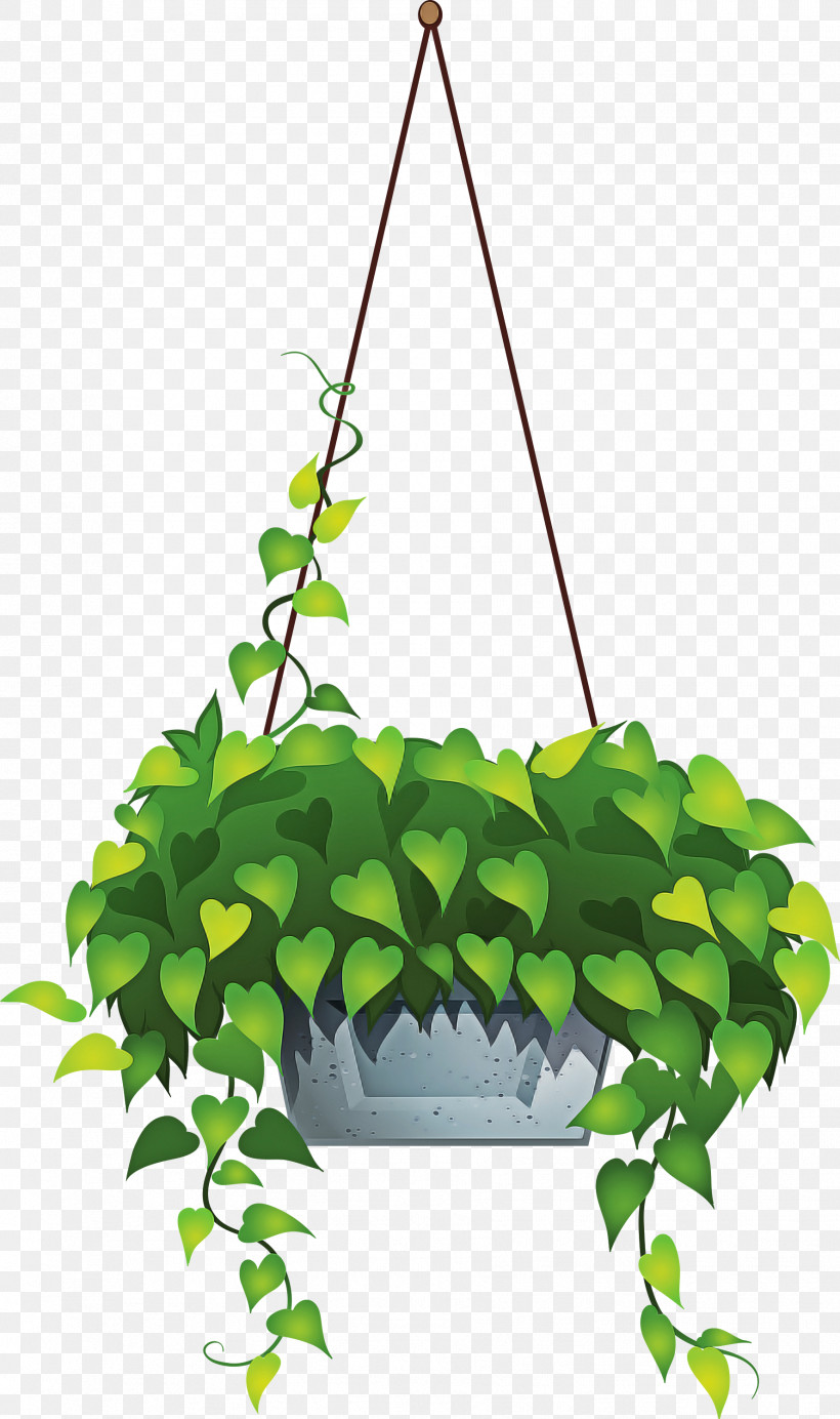 Flowerpot Plant Flower Leaf Houseplant, PNG, 1777x3000px, Flowerpot, Flower, Houseplant, Leaf, Plant Download Free