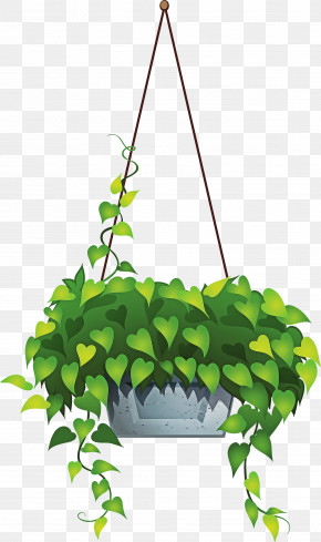 Flowerpot Plant Flower Leaf Houseplant PNG
