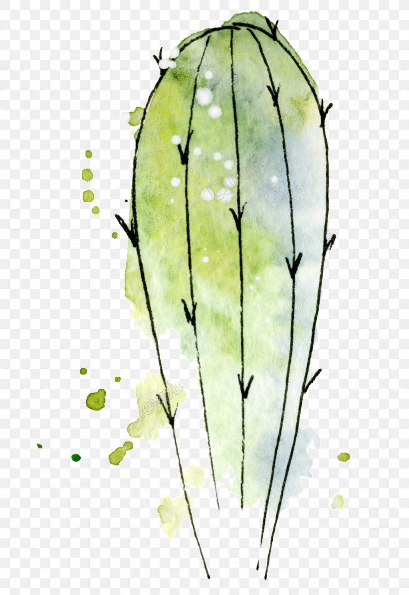 Cactus Watercolor Painting Drawing Stock Photography Image, PNG, 1024x1492px, Cactus, Branch, Depositphotos, Drawing, Flora Download Free