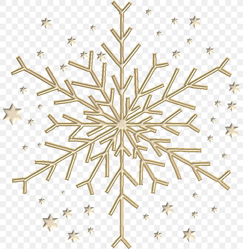 Christmas Ornament Star Poinsettia Christmas Tree, PNG, 801x841px, Christmas, Auguste Escoffier, Blog, Branch, Chef Download Free