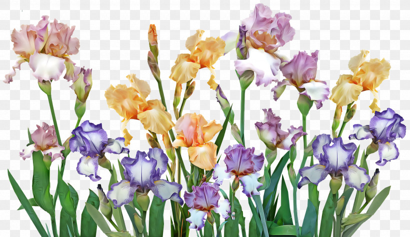 Floral Design, PNG, 2560x1482px, Floral Design, Artificial Flower, Cut Flowers, Drawing, Flower Download Free
