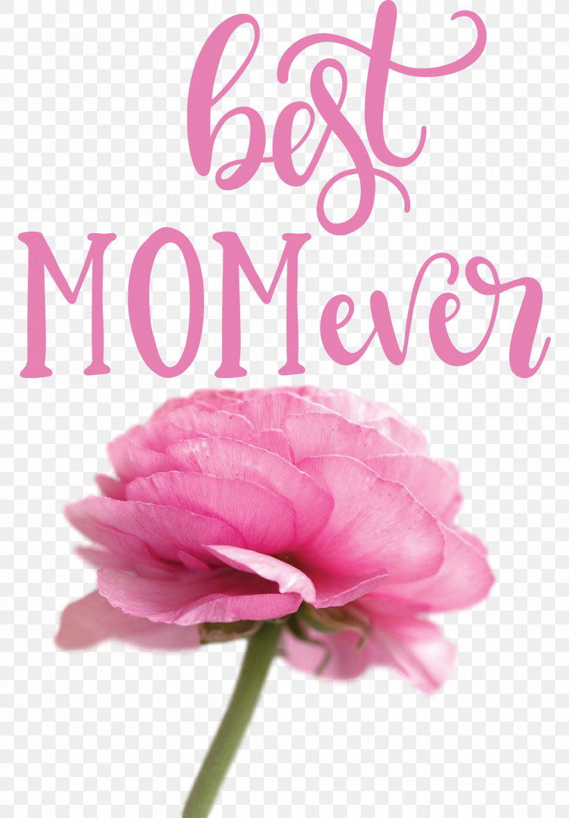 Mothers Day Best Mom Ever Mothers Day Quote, PNG, 2086x3000px, Mothers Day, Best Mom Ever, Cricut, Cut Flowers, Floral Design Download Free