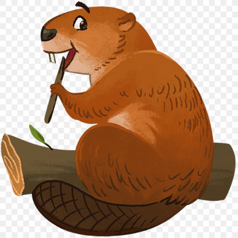 Rodent American Beaver Bear United States, PNG, 1000x1000px, Rodent, American Beaver, Americas, Bear, Beaver Download Free