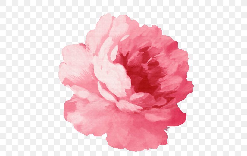 Watercolour Flowers Watercolor Painting Drawing, PNG, 500x517px, Watercolour Flowers, Art, Azalea, Carnation, Drawing Download Free