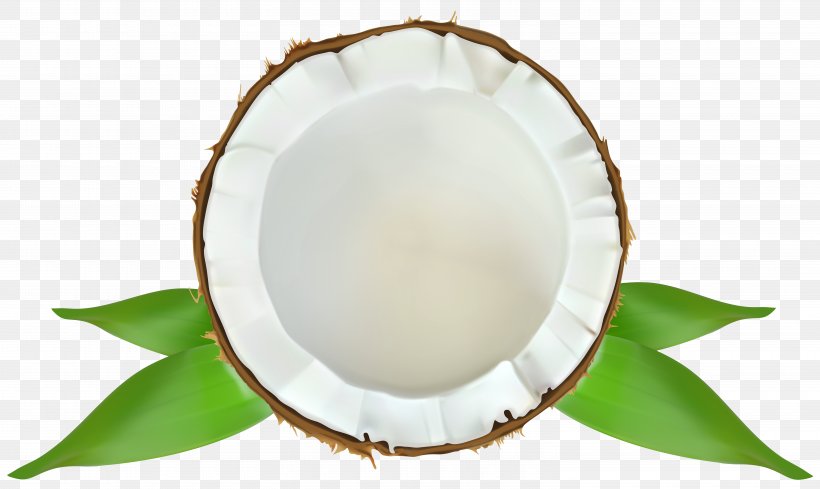 Coconut Water Drawing Clip Art, PNG, 6000x3579px, Coconut Water, Coconut, Dishware, Drawing, Food Download Free