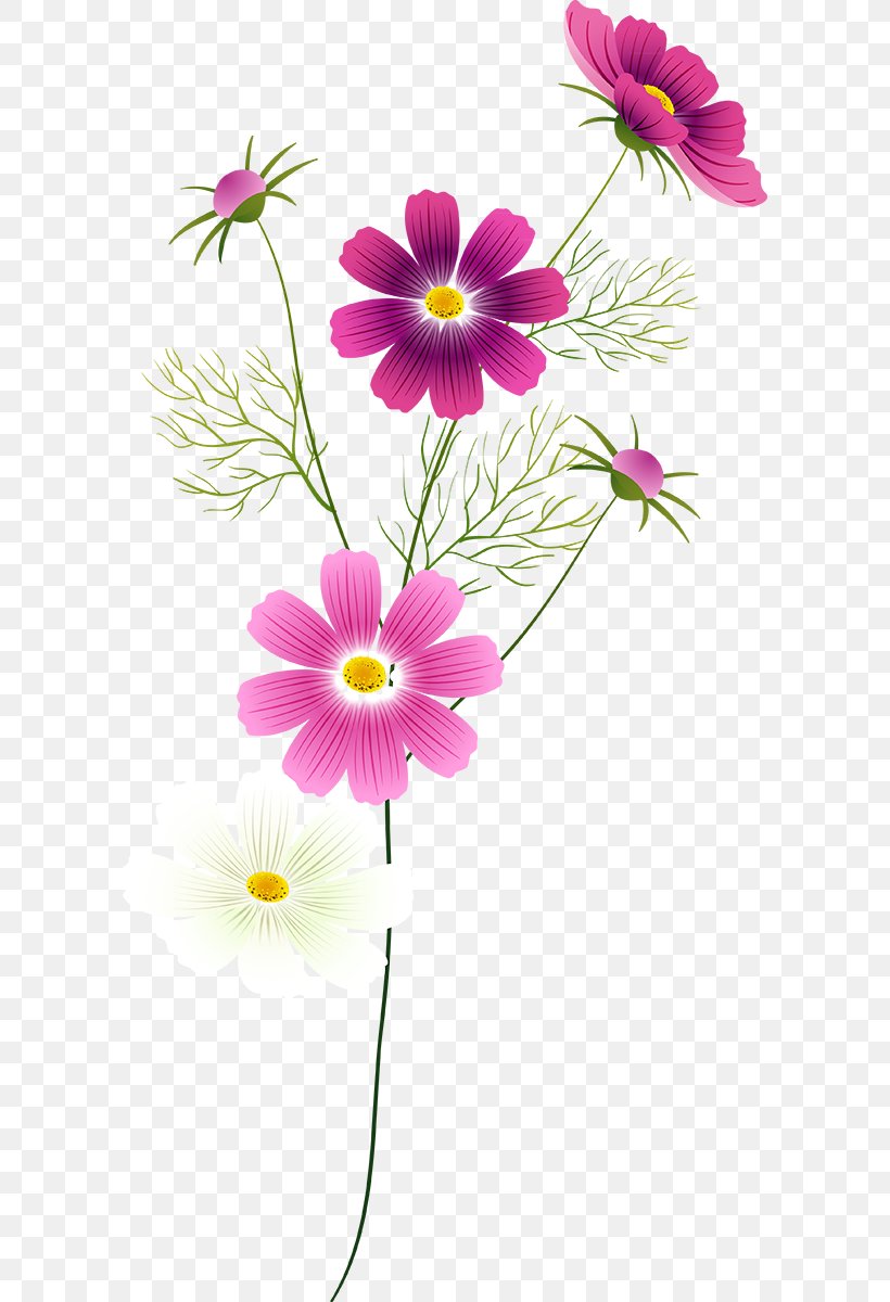 Flower Floral Design Garden Wedding Spring, PNG, 594x1200px, Flower, Annual Plant, Art, Cosmos, Cut Flowers Download Free