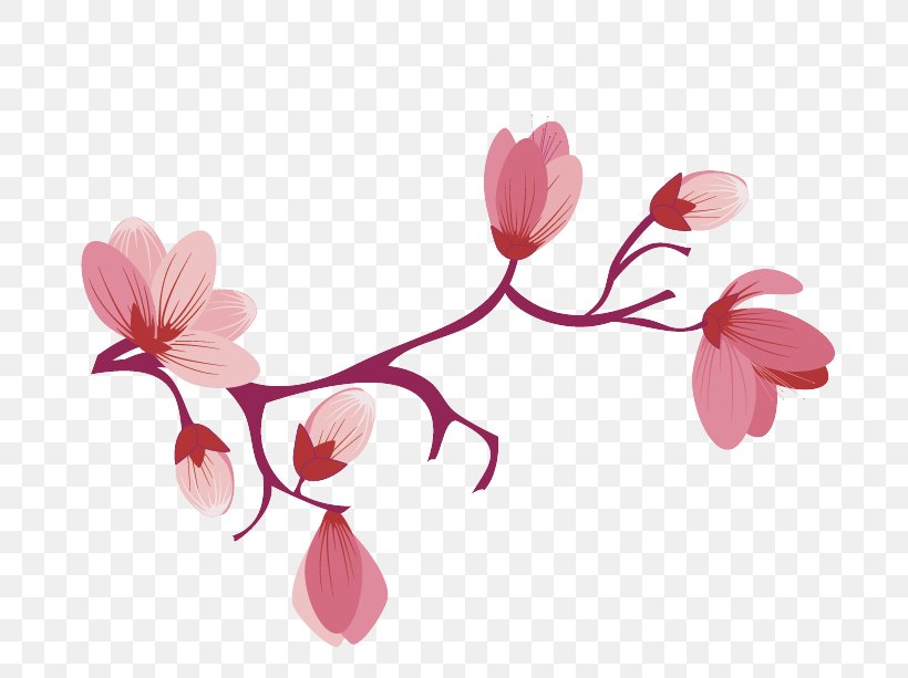 Flower Pink Petal Plant Branch, PNG, 729x613px, Flower, Blossom, Branch, Flowering Plant, Pedicel Download Free
