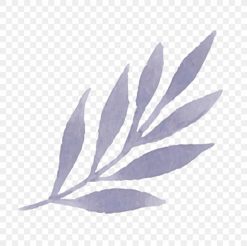 Leaf Purple, PNG, 1600x1600px, Leaf, Plant, Purple Download Free