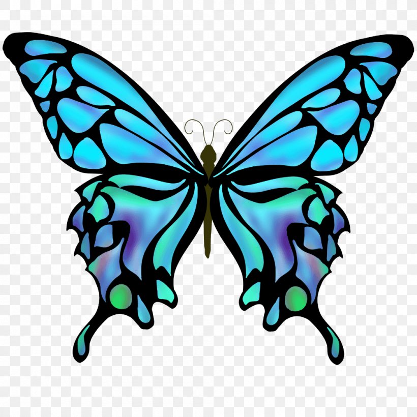 Swallowtail Butterfly Drawing Color, PNG, 1000x1000px, Butterfly, Art, Artwork, Brush Footed Butterfly, Butterflies And Moths Download Free