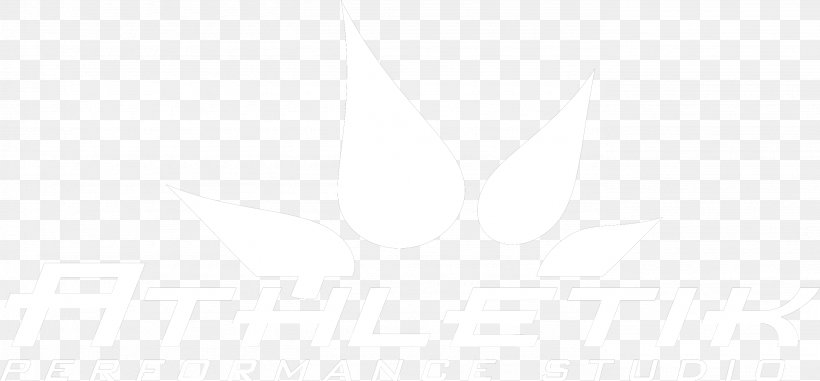 White Shoe Font, PNG, 2773x1290px, White, Black, Black And White, Rectangle, Shoe Download Free
