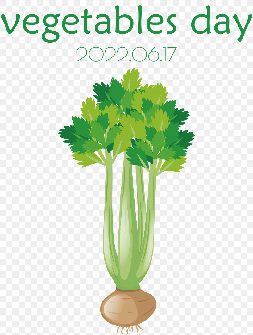 Cauliflower, PNG, 5518x7314px, Onion, Beetroot, Carrot, Cauliflower, Celery Download Free