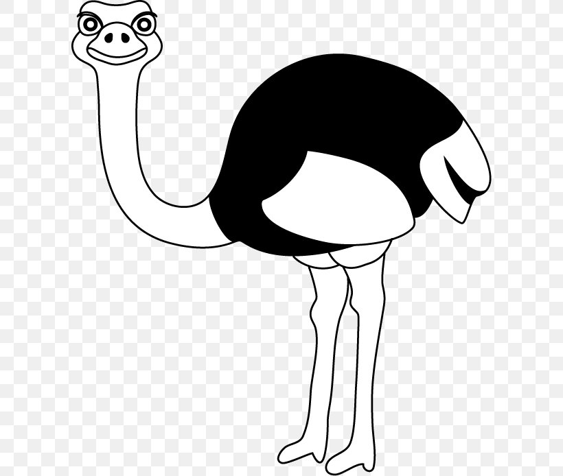 Common Ostrich Royalty-free Clip Art, PNG, 612x694px, Common Ostrich, Artwork, Beak, Bird, Black And White Download Free
