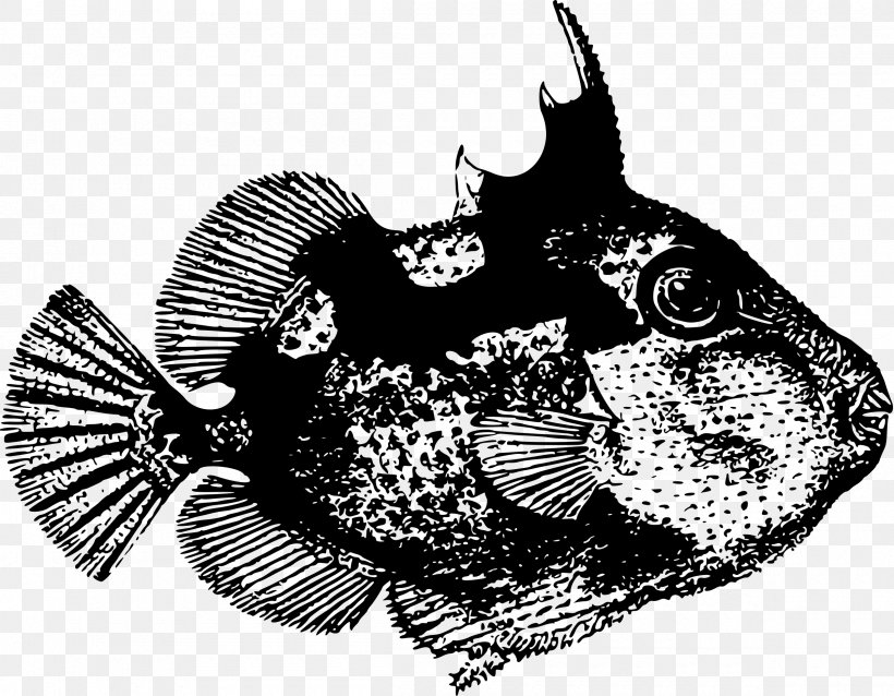 Drawing Starry Triggerfish, PNG, 2400x1868px, Drawing, Abalistes, Acanthopagrus, Black And White, Crown Download Free
