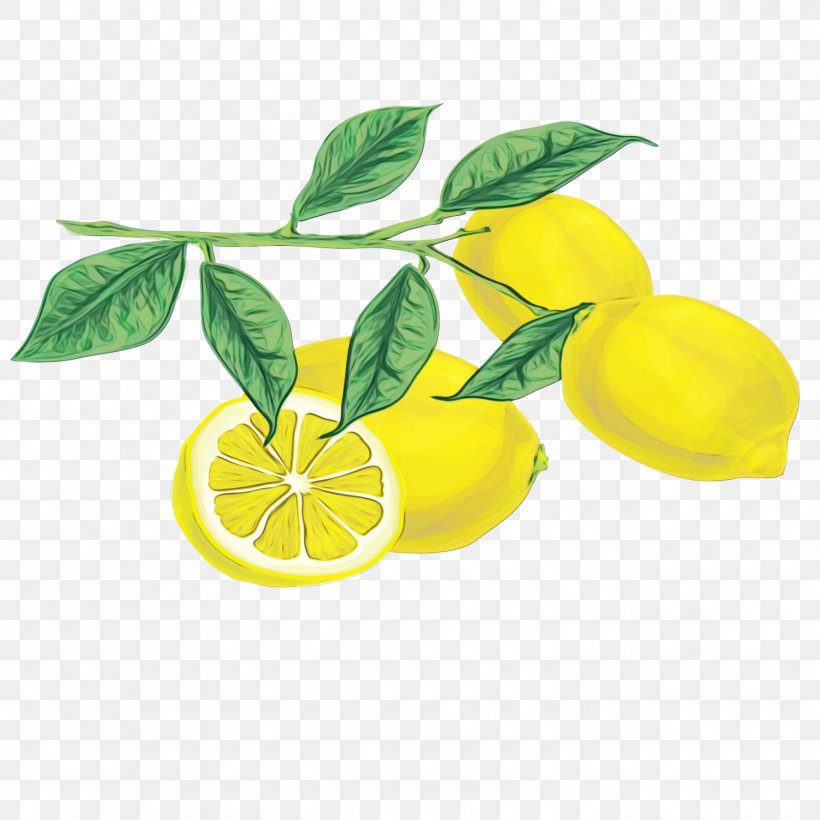 Lemon Flower, PNG, 1500x1500px, Lemon, Acid, Bitter Orange, Citric Acid, Citron Download Free