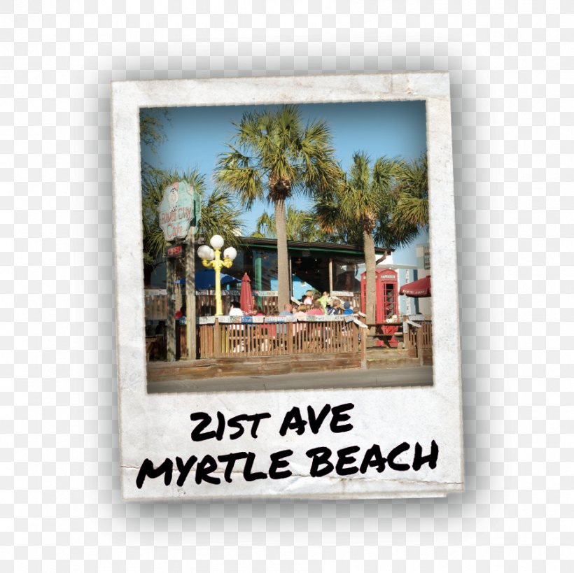 River City Cafe Beach Sands Ocean Club Resort North Myrtle Drive, PNG, 901x900px, Beach, City, Myrtle Beach, North Myrtle Beach, Picture Frame Download Free