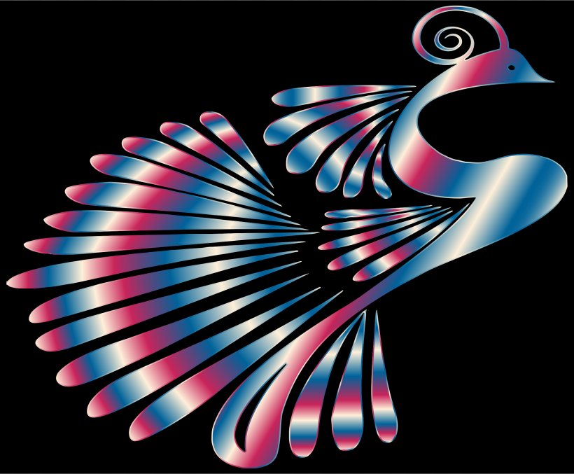 Vertebrate Graphic Design Desktop Wallpaper, PNG, 2400x1982px, Vertebrate, Feather, Pink, Spiral, Wing Download Free