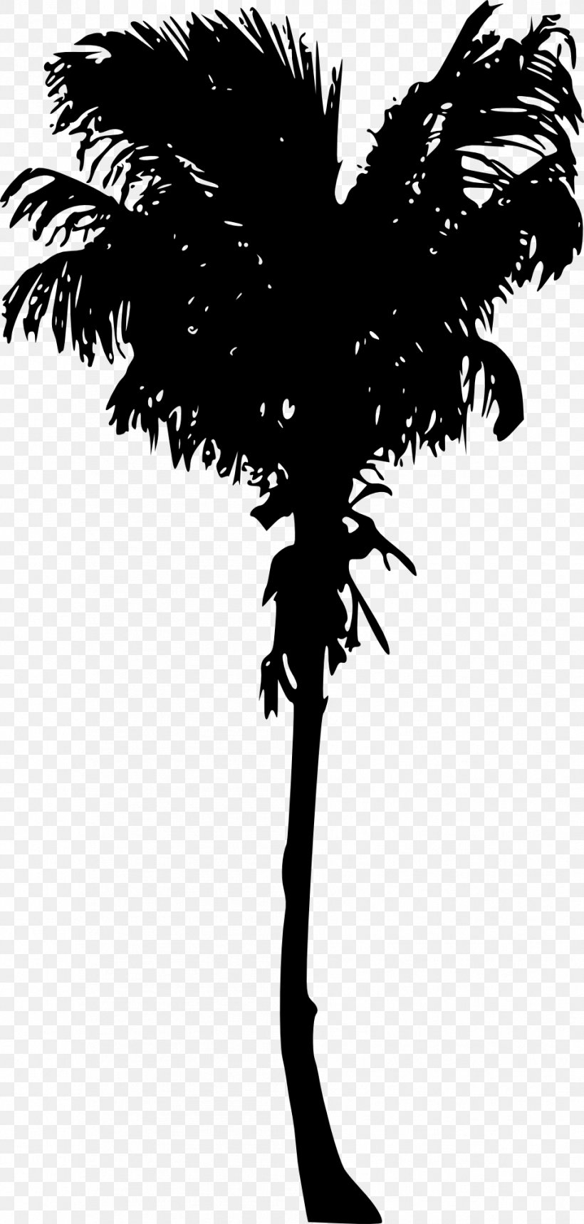 Arecaceae Woody Plant Tree Asian Palmyra Palm, PNG, 954x2000px, Arecaceae, Arecales, Asian Palmyra Palm, Black And White, Borassus Download Free