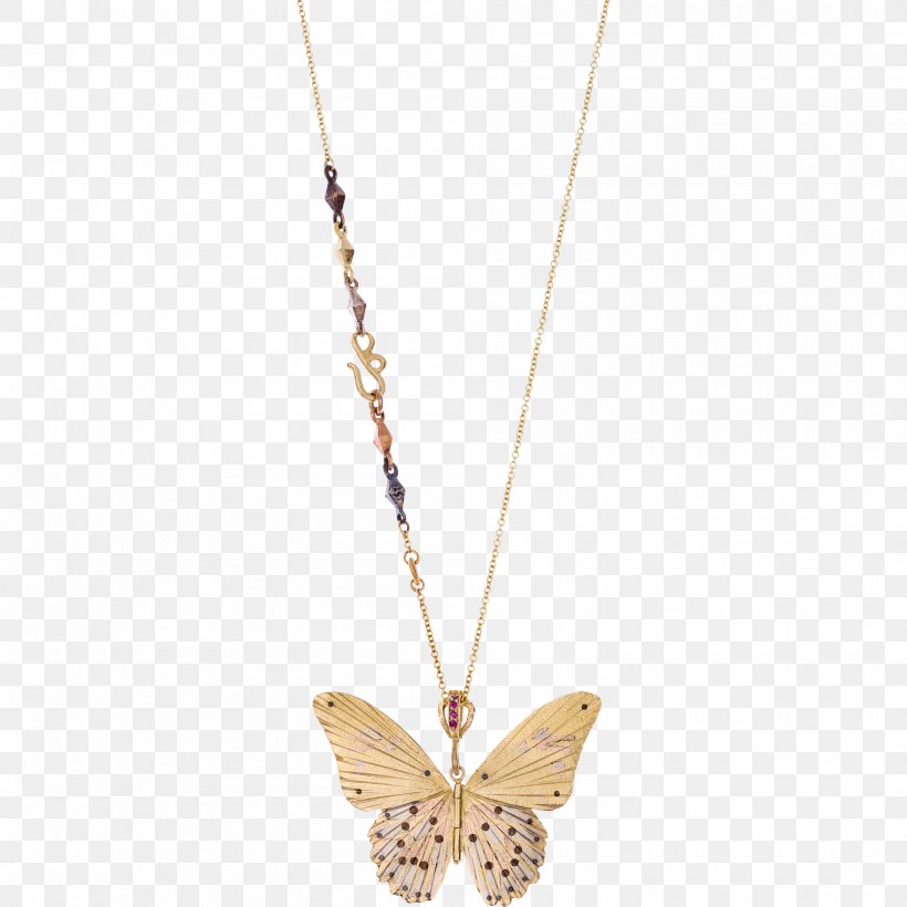 Butterfly Birdwing Ornithoptera Goliath Locket Troides Helena, PNG, 2000x2000px, Butterfly, Birdwing, Body Jewellery, Body Jewelry, Chain Download Free