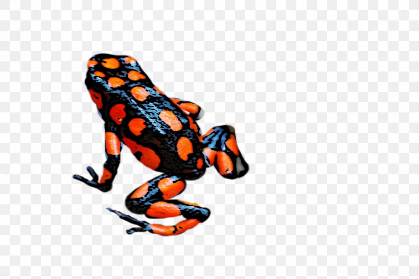 Toad Tree Frog Clip Art, PNG, 900x600px, Toad, Amphibian, Animal, Animal Figure, Frog Download Free