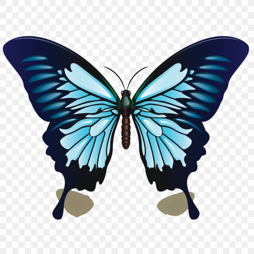Ulysses Butterfly Color Blue Drawing, PNG, 945x945px, Butterfly, Arthropod, Blue, Brush Footed Butterfly, Color Download Free