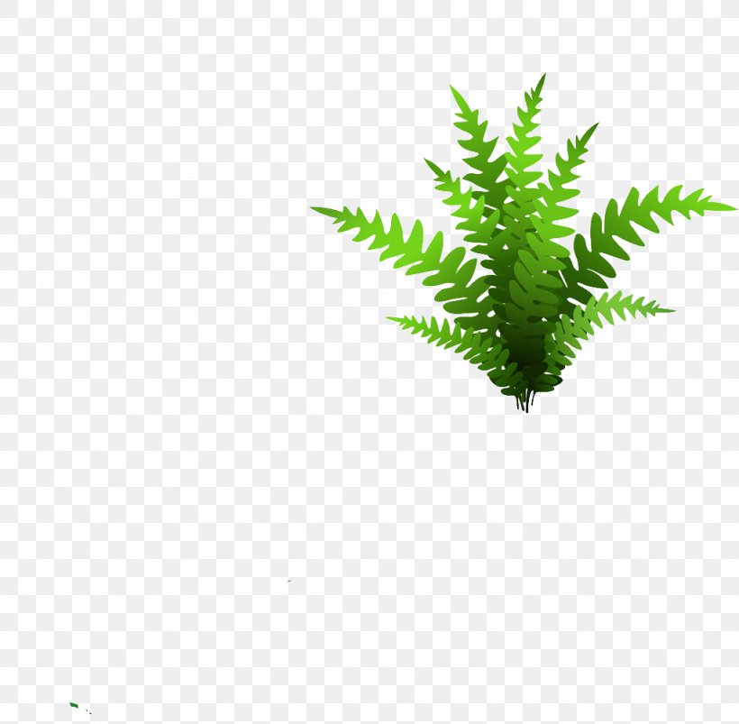 Euclidean Vector Grass Shutterstock, PNG, 1024x1003px, Grass, Color, Fourvector, Green, Hemp Download Free