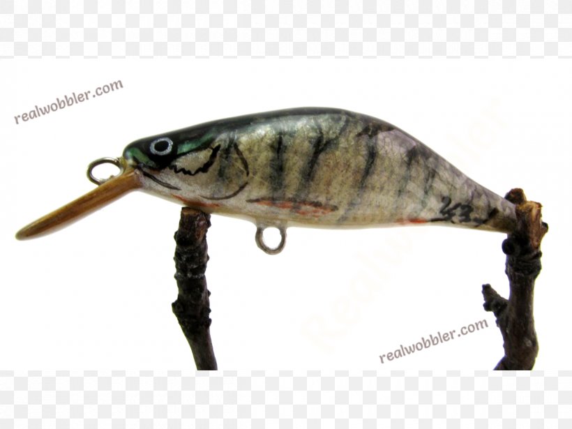 Fishing Baits & Lures Northern Pike Perch, PNG, 1200x900px, Fishing Baits Lures, Angling, Asp, Bait, Common Rudd Download Free