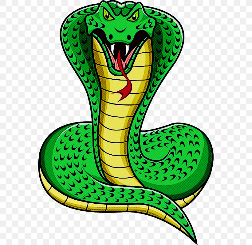 King Cobra Cobra Reptiles Drawing Mambas, PNG, 571x800px, King Cobra, Cartoon, Cobra, Drawing, Elapid Snakes Download Free