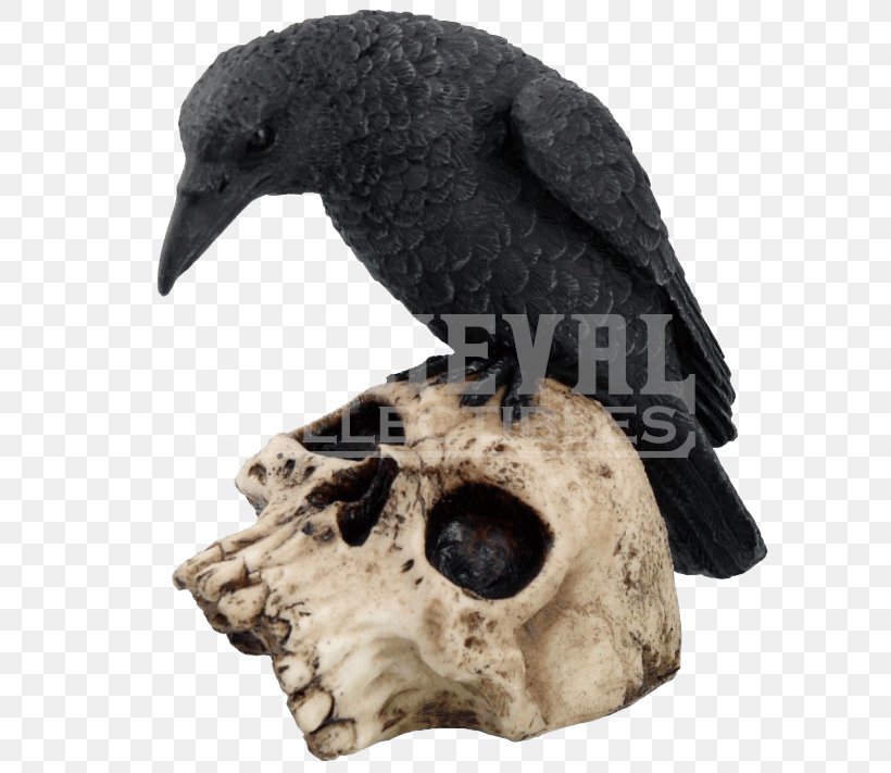 Statue Figurine Skull Polyresin Death, PNG, 711x711px, Statue, Beak, Bird, Collectable, Crow Download Free