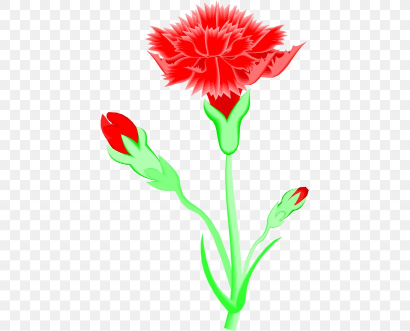 Carnation Cut Flowers Clip Art, PNG, 417x661px, Carnation, Artwork, Caryophyllaceae, Cut Flowers, Flora Download Free