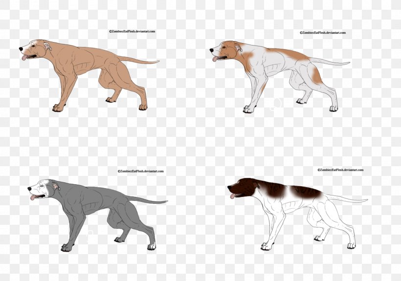 Cat Saluki Dog Breed Paw Tail, PNG, 1600x1123px, Cat, Animal, Animal Figure, Breed, Carnivoran Download Free