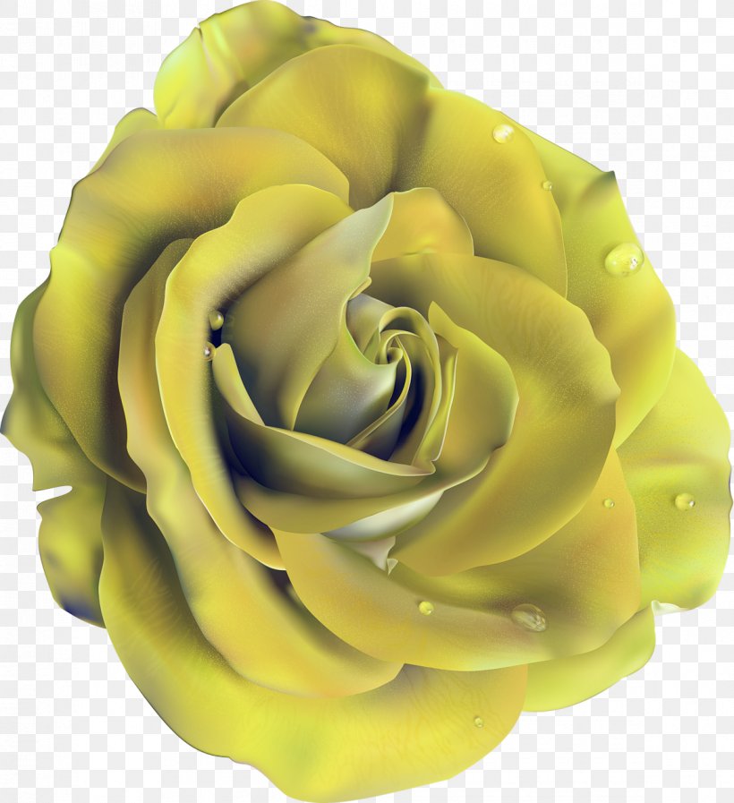 Color Garden Roses Skin, PNG, 1170x1280px, Color, Blue, Computer Software, Cut Flowers, Flower Download Free