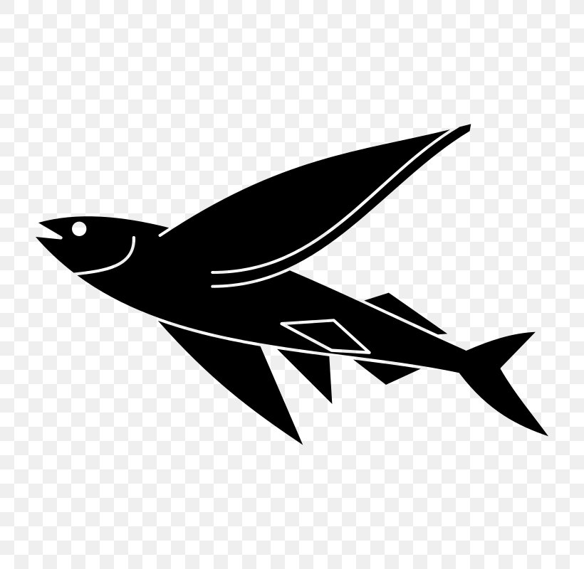 Flying Fish Drawing Clip Art, PNG, 800x800px, Flying Fish, Bird, Black And White, Cartoon, Drawing Download Free