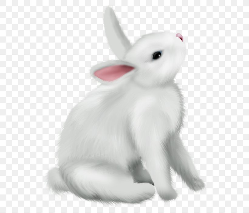 Rabbit Rabbits And Hares White Hare Animal Figure, PNG, 579x701px, Rabbit, Animal Figure, Arctic Hare, Hare, Rabbits And Hares Download Free