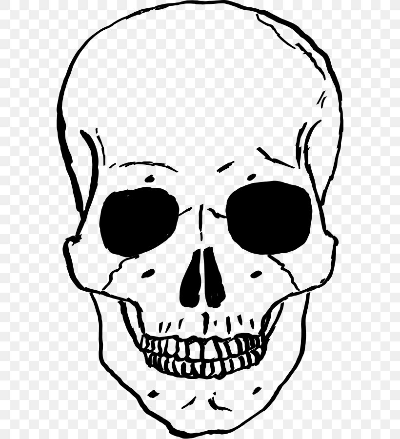Skull Clip Art, PNG, 588x900px, Skull, Black And White, Blog, Bone, Drawing Download Free