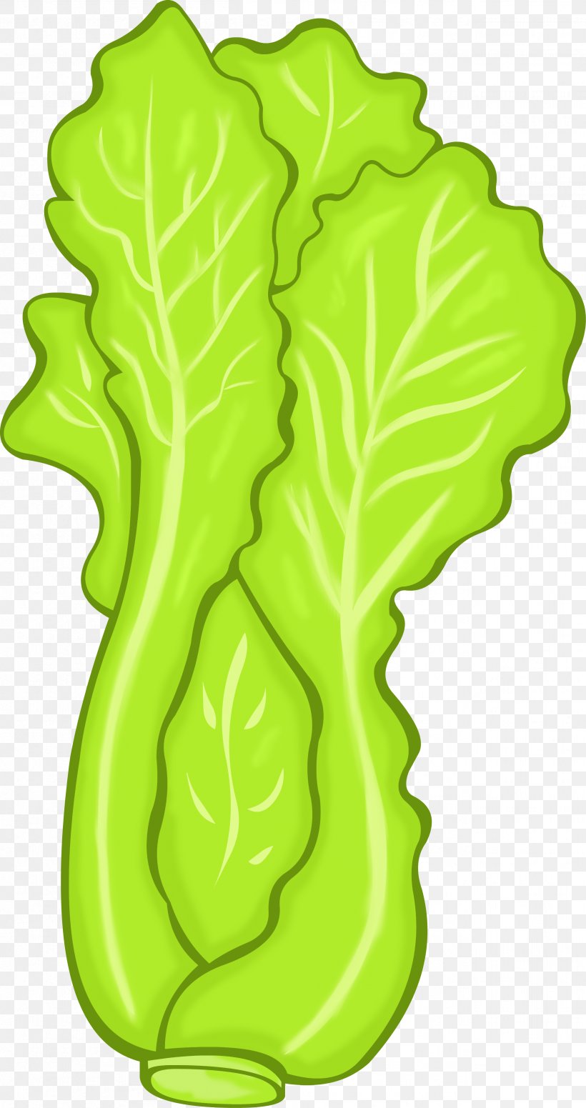 Vegetarian Cuisine Vegetable Lettuce Food Clip Art, PNG, 2514x4756px, Vegetarian Cuisine, Asparagus, Broccoli, Cabbage, Food Download Free