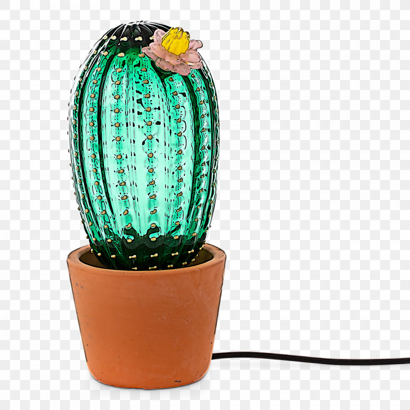 Cactus, PNG, 2000x2000px, Cactus, Caryophyllales, Flower, Flowerpot, Green Download Free