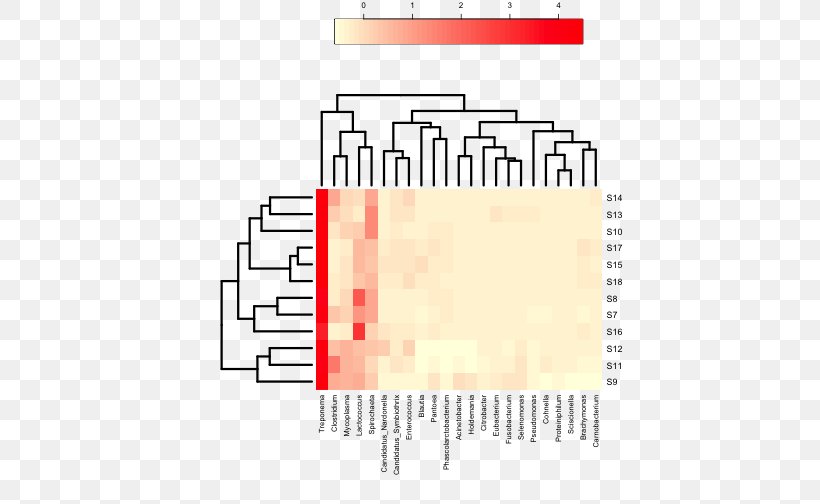 Heat Map Microbiota Cluster Analysis Plot Dendrogram, PNG, 504x504px, Heat Map, Area, Brand, Cluster Analysis, Color Download Free