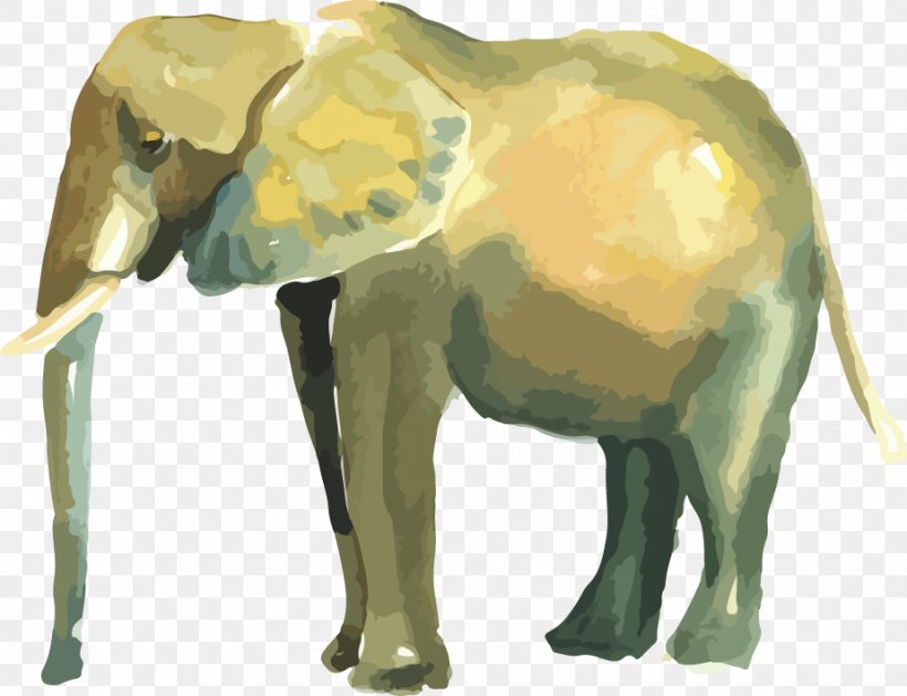 Indian Elephant African Elephant Graphic Design, PNG, 924x709px, Indian Elephant, African Elephant, Career Portfolio, Elephant, Elephantidae Download Free