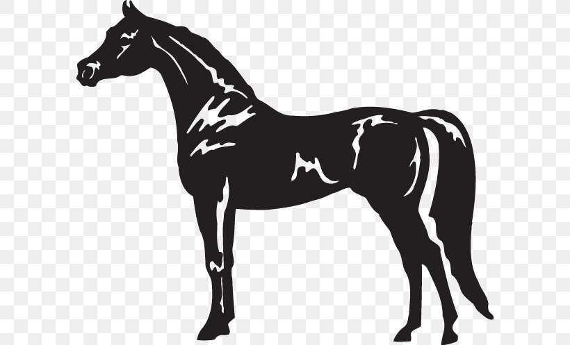 Arabian Horse American Quarter Horse Appaloosa Standing Horse Clip Art, PNG, 600x497px, Arabian Horse, American Quarter Horse, Animal Figure, Appaloosa, Black And White Download Free