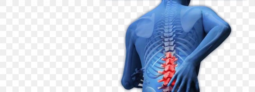 Back Pain Physical Therapy Vertebral Column Spinal Stenosis Bone, PNG, 1100x400px, Back Pain, Ache, Arm, Bone, Bone Cancer Download Free