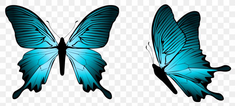 Butterfly Blue Clip Art, PNG, 1425x645px, Butterfly, Butterflies And Moths, Insect, Invertebrate, Microsoft Azure Download Free