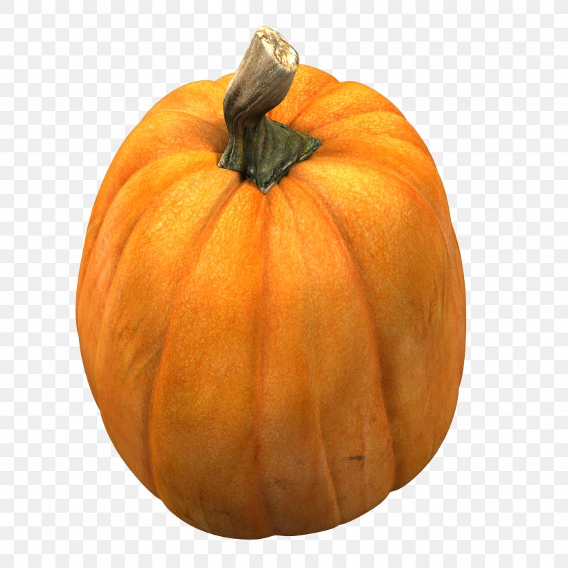 Great Pumpkin Calabaza Gourd Winter Squash, PNG, 2048x2048px, Pumpkin, Calabash, Calabaza, Commodity, Costume Download Free