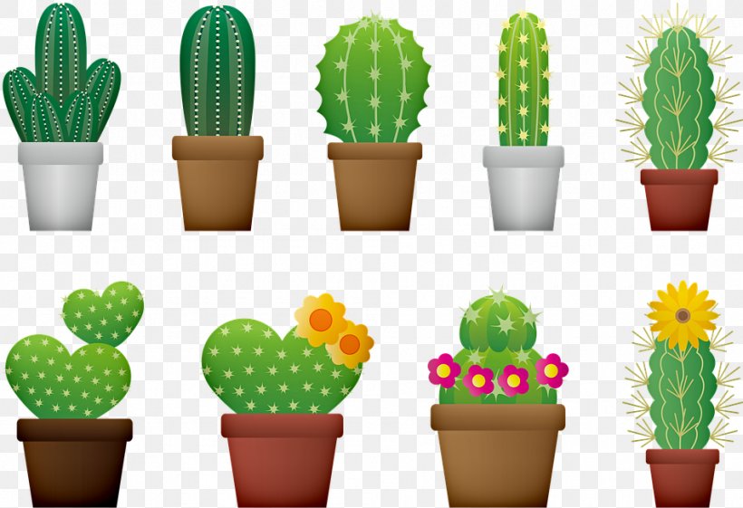 Cactus, PNG, 950x650px, Cactus, Baking Cup, Caryophyllales, Flower, Flowerpot Download Free