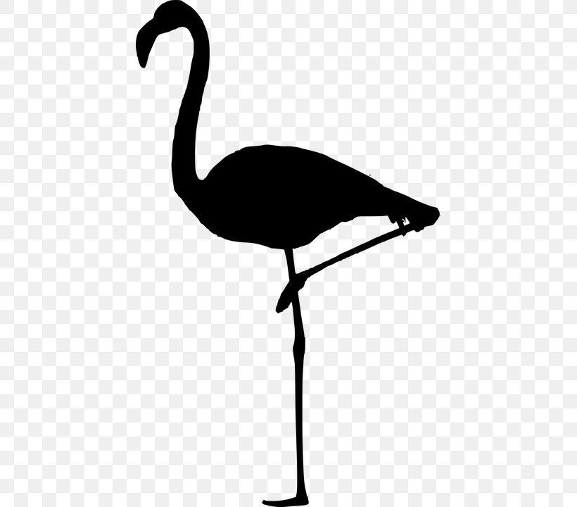 Greater Flamingo Party Zazzle Watch, PNG, 434x720px, Flamingo, Art, Beak, Bird, Blackandwhite Download Free