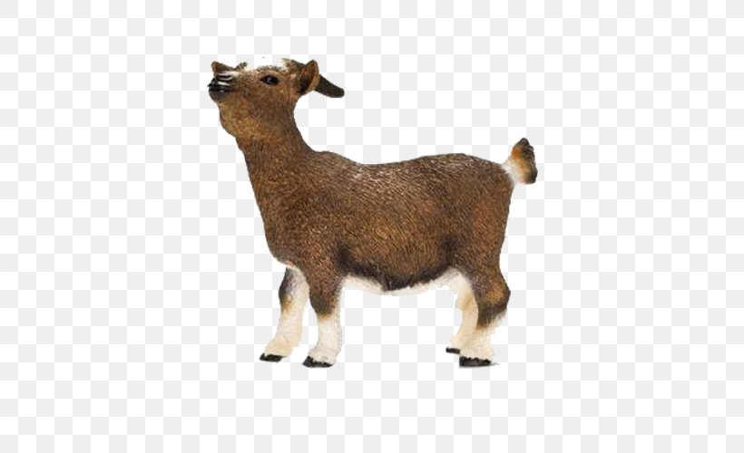 Nigerian Dwarf Goat Schleich Dwarf Goat Toy Figure Cattle Schleich Domestic Goat, PNG, 500x500px, Nigerian Dwarf Goat, Animal Figure, Cattle, Cattle Like Mammal, Cow Goat Family Download Free